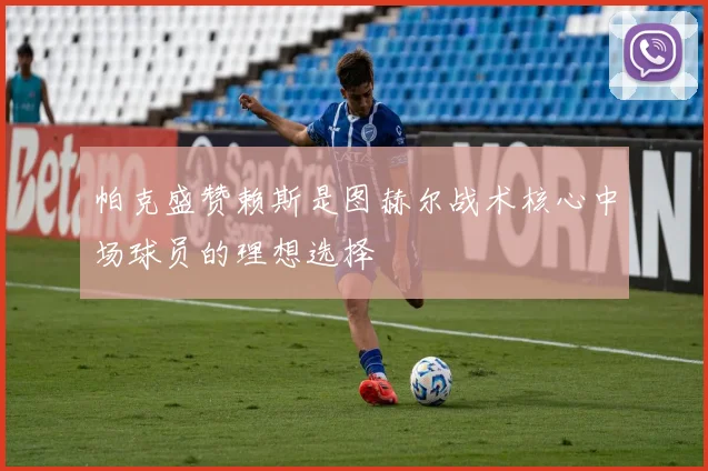 帕克盛赞赖斯是图赫尔战术核心中场球员的理想选择