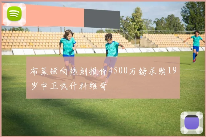 布莱顿向热刺报价4500万镑求购19岁中卫武什科维奇